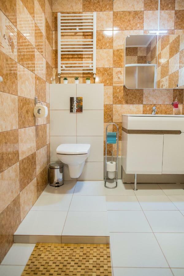 City Light Apartment Temeşvar Dış mekan fotoğraf